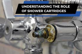 What Is A Shower Cartridge