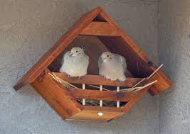 Wooden Wood Nesting Dove Dovehouse