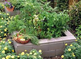 Raised Garden Beds