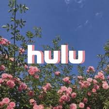 Pink Roses Hulu Icon Homescreen
