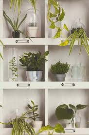 White Shelves With Botanic Plants