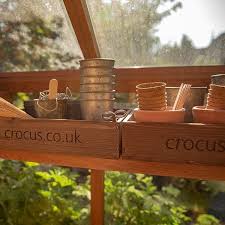 Buy Wooden Seed Tray Delivery By Crocus