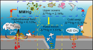 Mercury Isotopes In Deep Sea Epibenthic