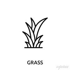 Grass Icon Vector Grass Sign Symbol
