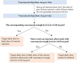 Ai Models To Assist Vancomycin Dosage