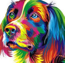 Spaniel Dog Colourful Animal Wall Art