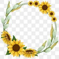 Sunflower Circle Png Transpa Images