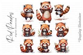 Sad Watercolor Red Pandas Graphic