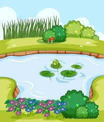 Garden Pond Images Free On