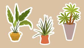 House Plants Stickers Set Of Hygge
