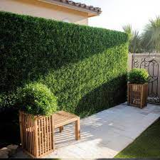 Artificial Boxwood Wall Panels