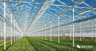 Glass Greenhouse Vs Polycarbonate