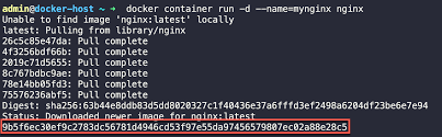 how to get docker container ip address