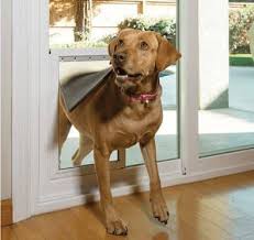 Patio Doors With A Built In Dog Door