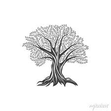 Olive Tree Icon With Leaves And