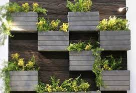 Creative Living Wall Planter Ideas