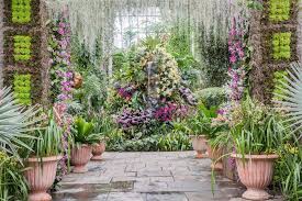 Orchids Celebrates A Victorian Era