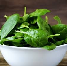 How Many Spinach Plants Per Square Foot