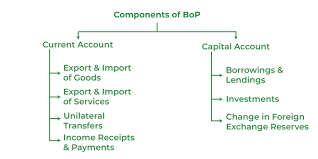 Capital And Cur Account