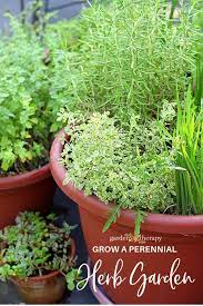 Perennial Herb Container Garden