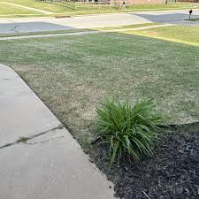 Top 10 Best Lawn Care In Broken Arrow