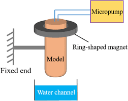 Oil Displacement By The Magnetic Fluid