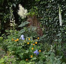 How To Plant Up A Damp Shady Area Of