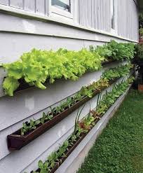 20 Vertical Gardening Ideas For Turning