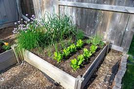 Square Foot Gardening Lacoste Garden