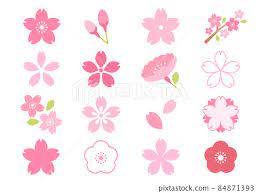 Cherry Blossom Icon Vector Ilration