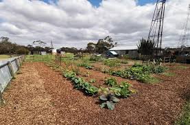 Grocery Row Gardening In Australia