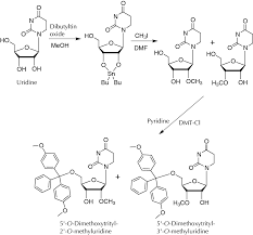 Multistep Synthesis Of A Uridine