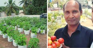 Kerala Man Starts Farm On Terrace