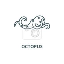 Octopus Vector Line Icon Outline