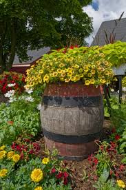 Creative Whiskey Barrel Planter Ideas
