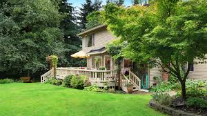 Take Back Your Yard From Mosquitoes