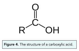 Carboxylic Acids Gcse Chemistry