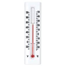 Wall Thermometer Zeal Type At Rs 300