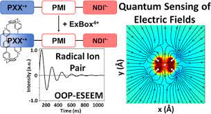 Spin Correlated Radical Ion Pairs