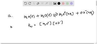 Solved Write The Chemical Equation For