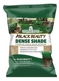 Black Beauty Dense Shade Grass Seed L