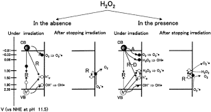 Properties Of O2 And Oh Formed In