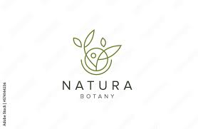 Nature Leaf Tree Growth Logo Icon