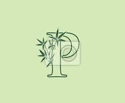 Bamboo P Letter Logo Green P Bamboo