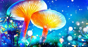 Marvelous Mushroom Cers For Fairy