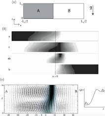 Convection Diffusion Equation An