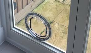 Cat Flaps Cat Flap Fitter Cat Out