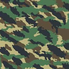 Soldier Camouflage Stripe Woodland