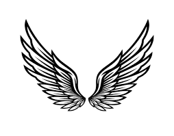 Wings Icon Vector Ilration Wings