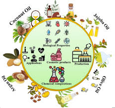 Cosmetic Oils Virgin Coconut Oil